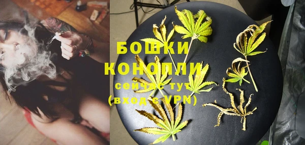 дживик Протвино